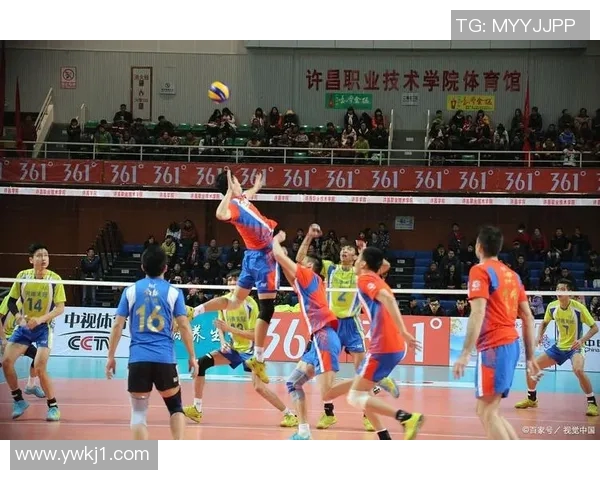 赵军独家分享排球心得与技巧助你提升技术水平和比赛表现